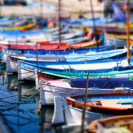 Hotel Mercure Marché Aux Fleurs Nizza