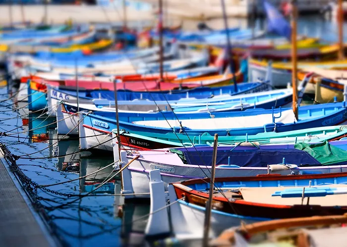 Hotel Mercure Marche Aux Fleurs Nicea